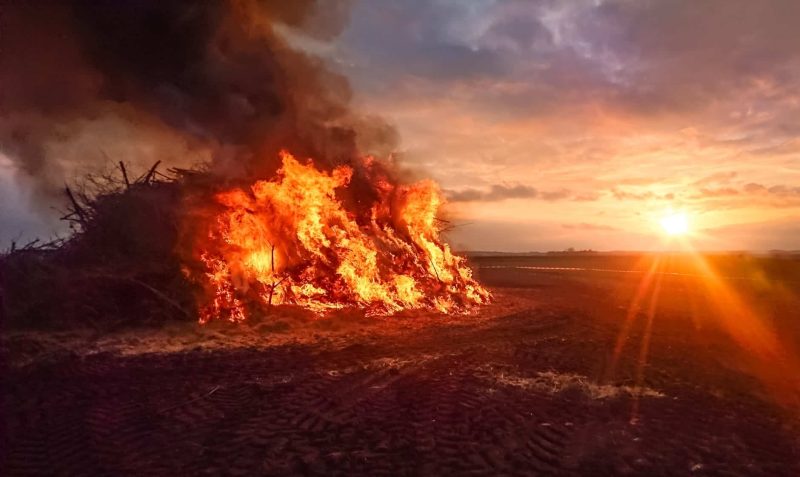 watching-fire-hot-warm-1019472